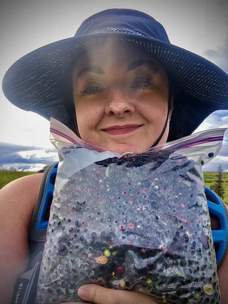 Berry Picking In Hatchers Pass